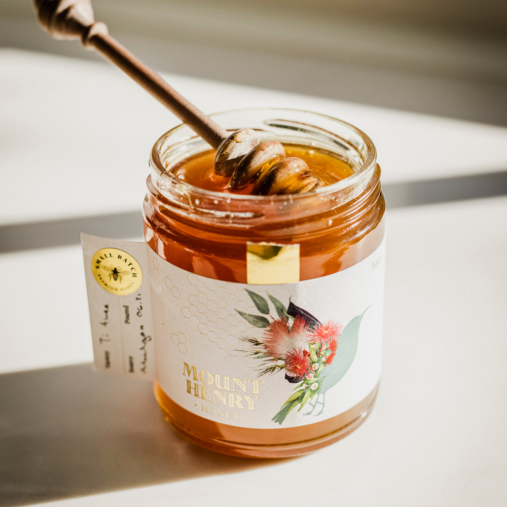 Mount Henry Honey Dipper in Ti Tree